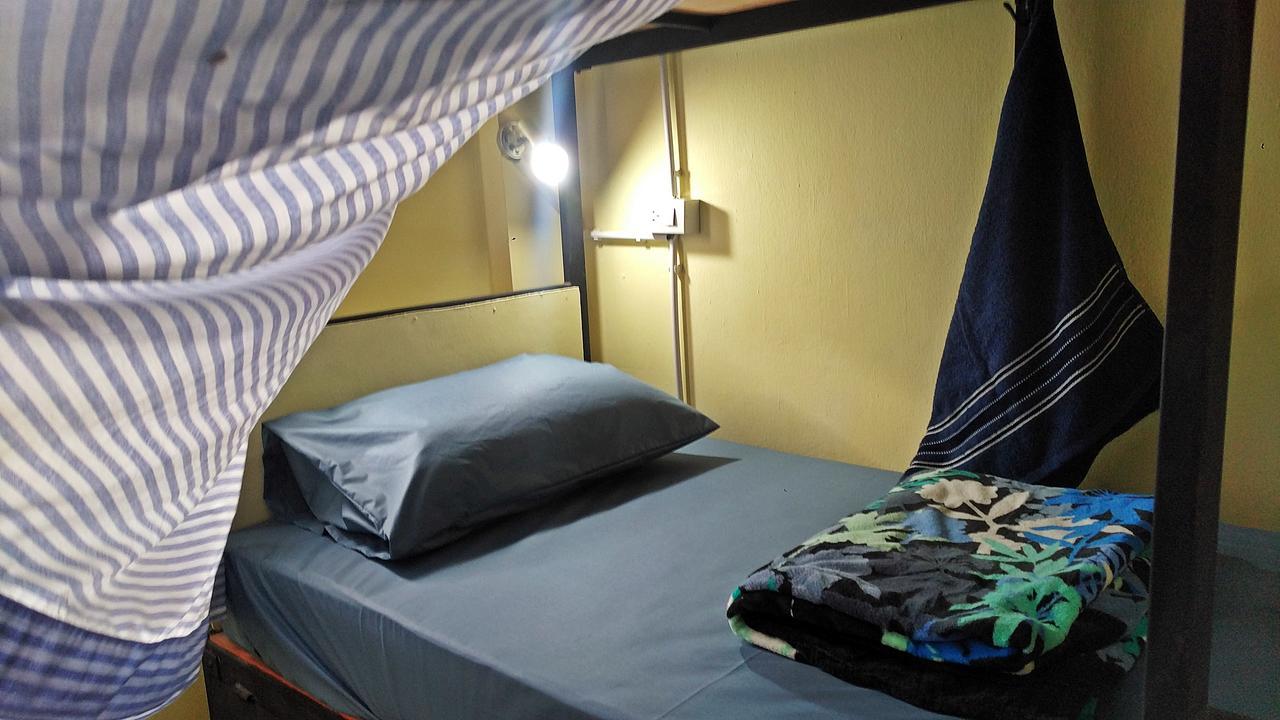 Bunk Bed Mixed Dormitory Room,508395558:JPEG